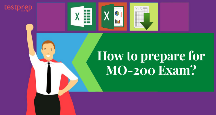 MSc 2 : Excel avancé et applications professionnelles (Fondamentaux)
